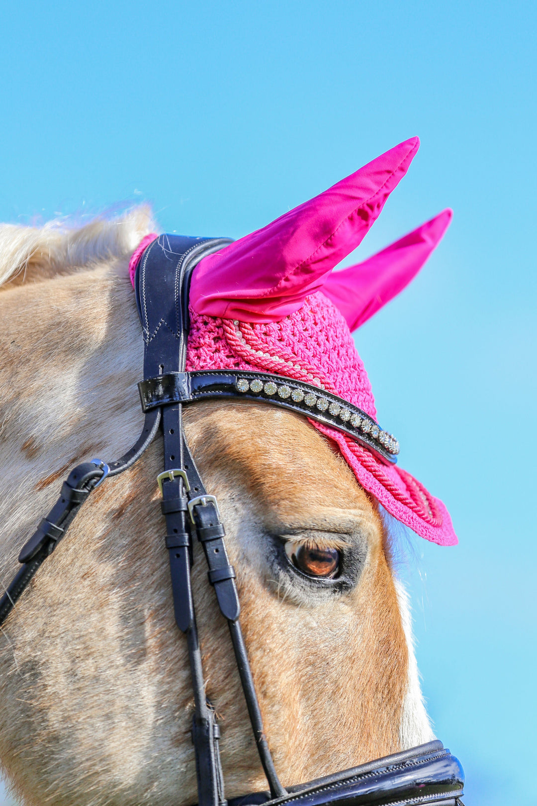 Hot Pink Bonnet - Ear Bonnets by Lady Godiva Equestrian - view 4