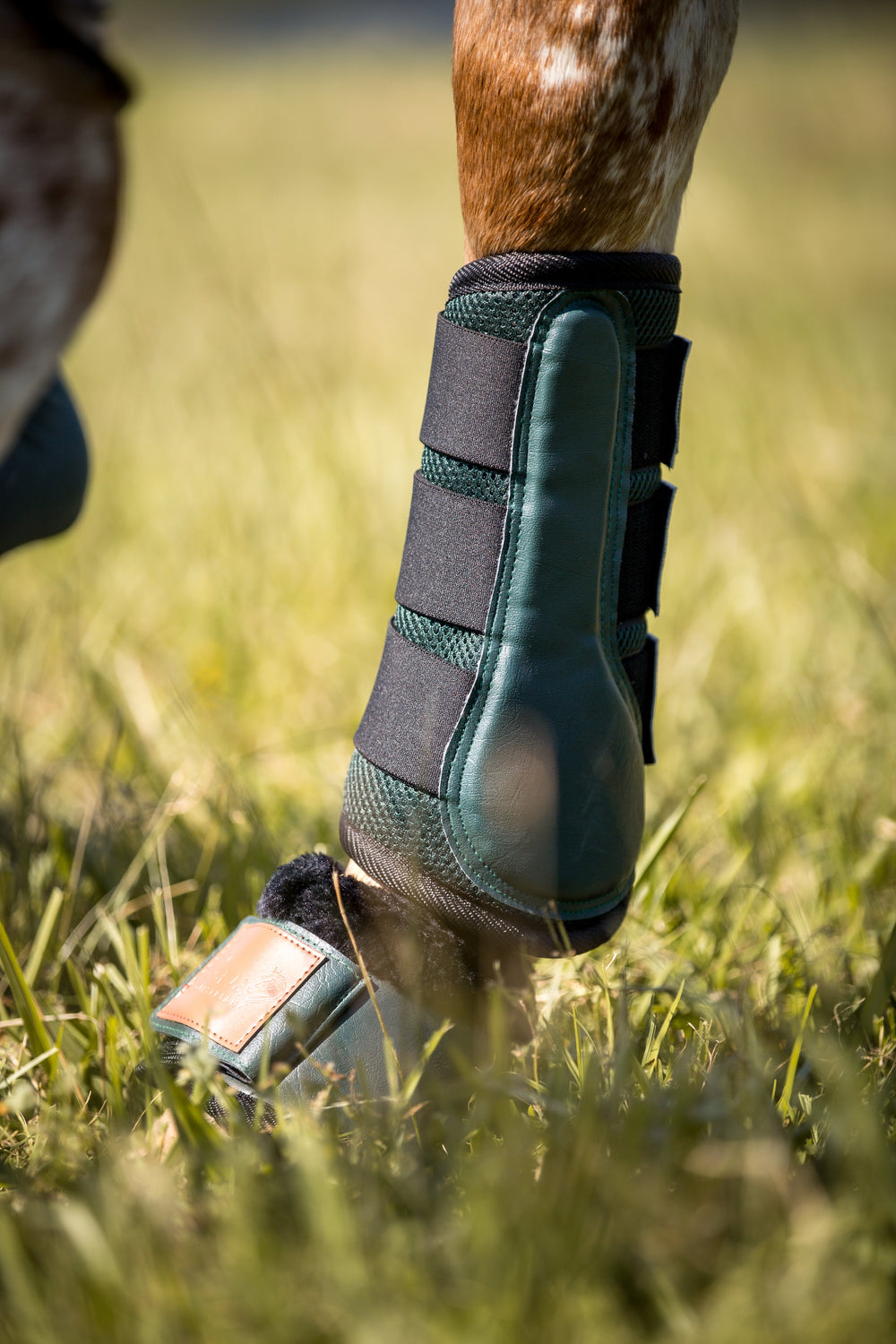 Christmas Tree Coolflow Brushing Boots by Lady Godiva Equestrian - view 2