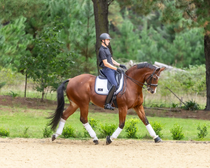 Belle Dressage Contoured Saddle Blanket