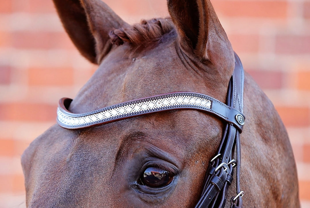 Majesty Browband - Black or Brown