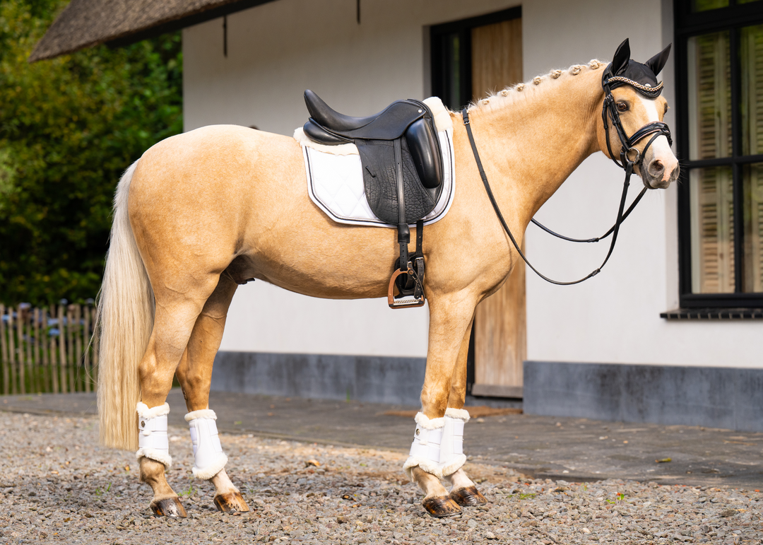 'The Queen' White Full Merino Wool Fleece Competition Saddle Pad