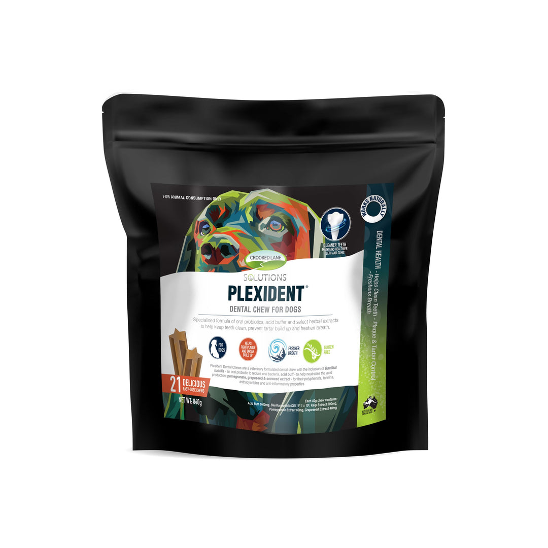 PLEXIDENT® DENTAL CHEW FOR DOGS