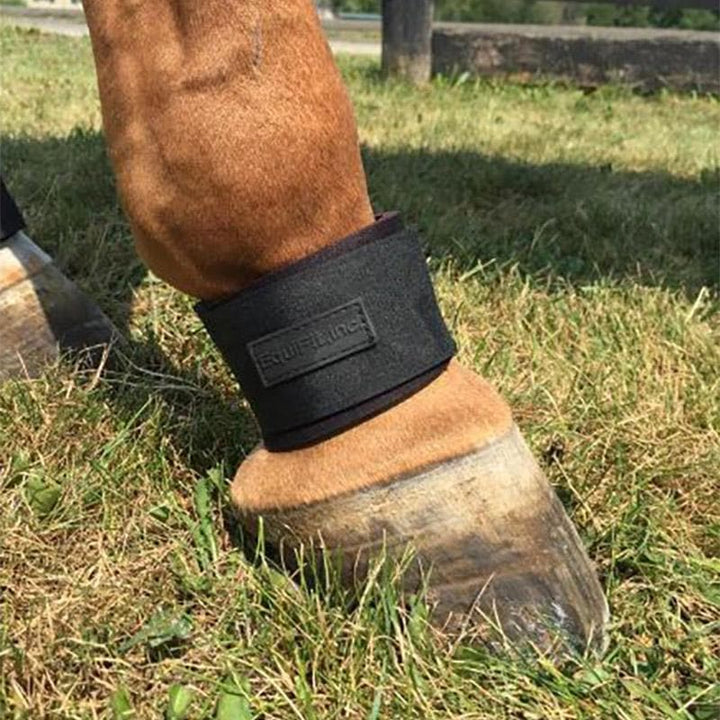 PASTERN WRAP