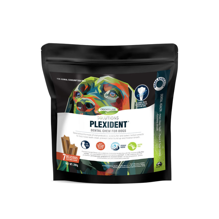 PLEXIDENT® DENTAL CHEW FOR DOGS