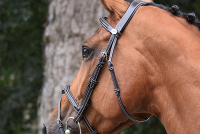 Thursday Bridle - Week Collection