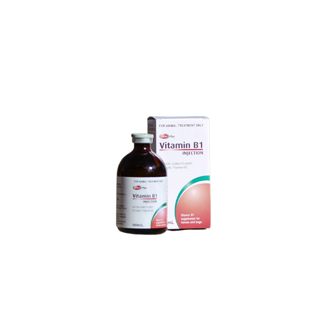 Vitamin B1 Injection iRide EQ Vitamin B1 Injection iRide EQ