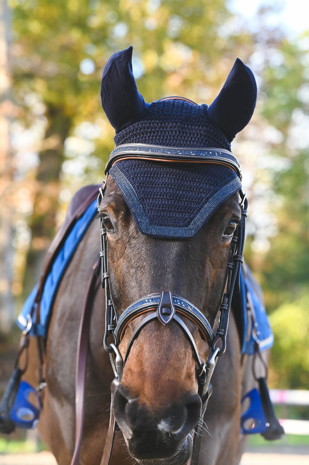 Carat Bridle - One Collection Premium