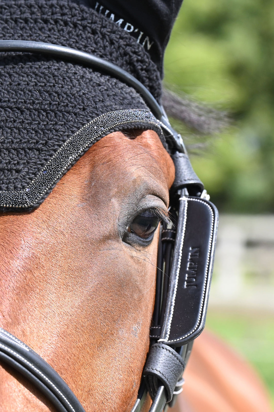 Removable Week Blinders