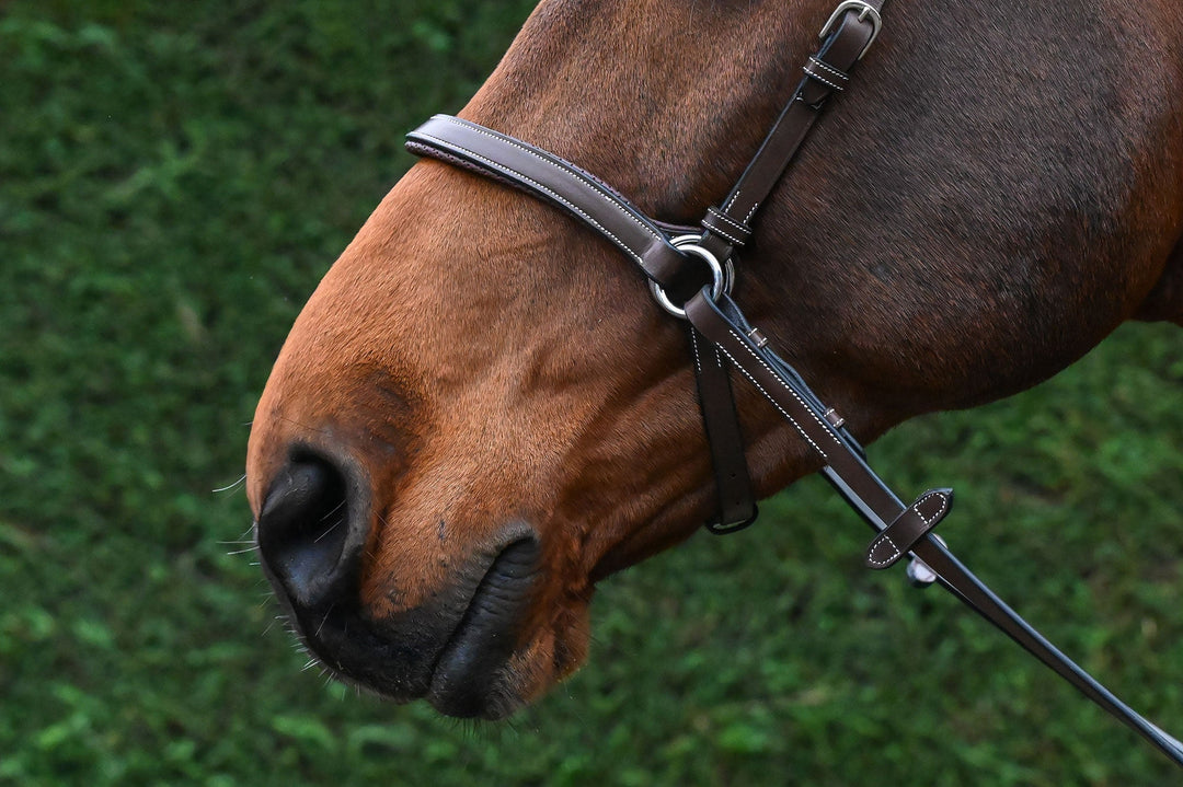 Bitless Bridle - One Collection