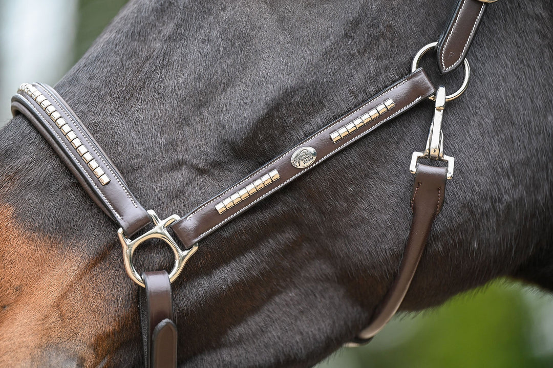 Clincher Halter - One Collection Premium