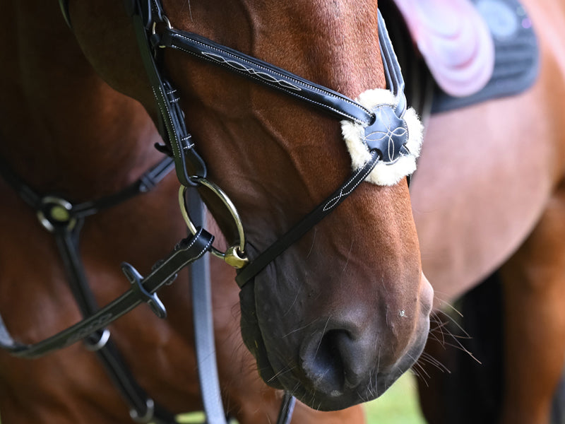 Monday Bridle Mexican Noseband - Week Collection