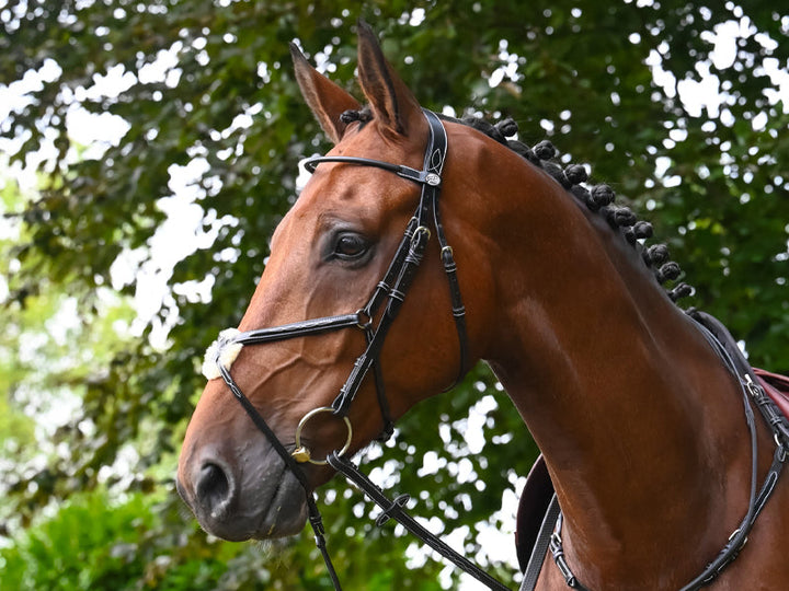 Monday Bridle mexican noseband - Week Collection