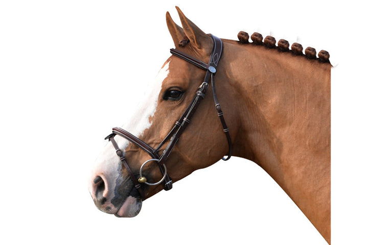 Tuesday Bridle - Week Collection