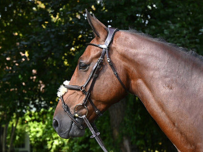 Wednesday Bridle Mexican Noseband - Week Collection