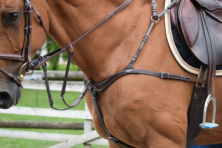 2 in 1 Breastplate and Martingale