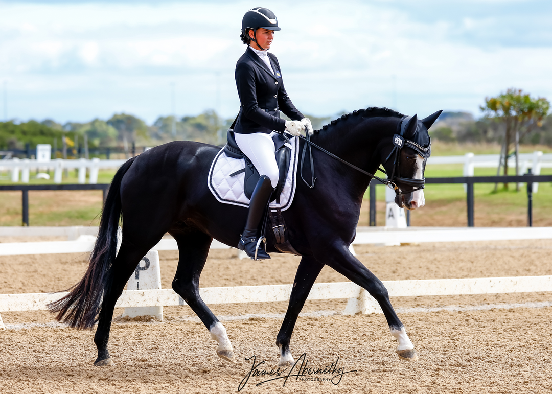 'The Duchess' White Jewel Competition Saddle Pad