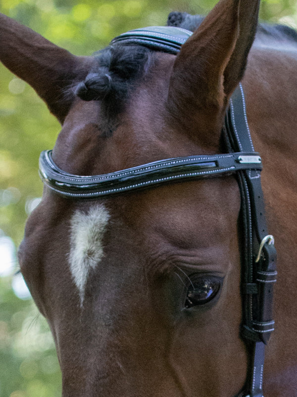 Manhattan Bridle - One Collection