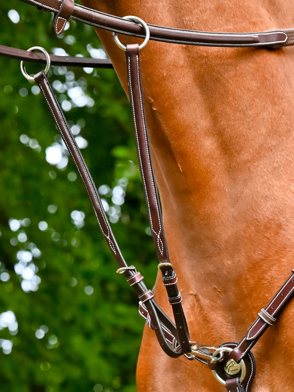 Martingale for Monday and Tuesday breastplate