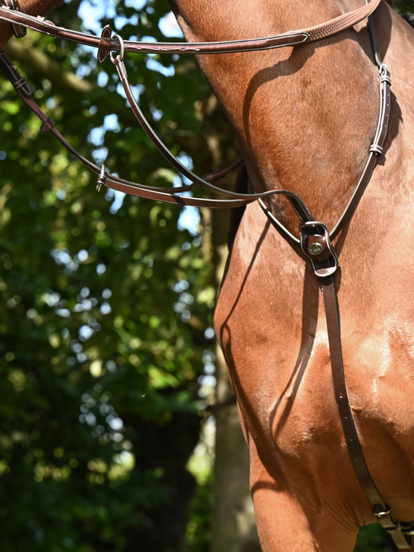 Removable Martingale Collar