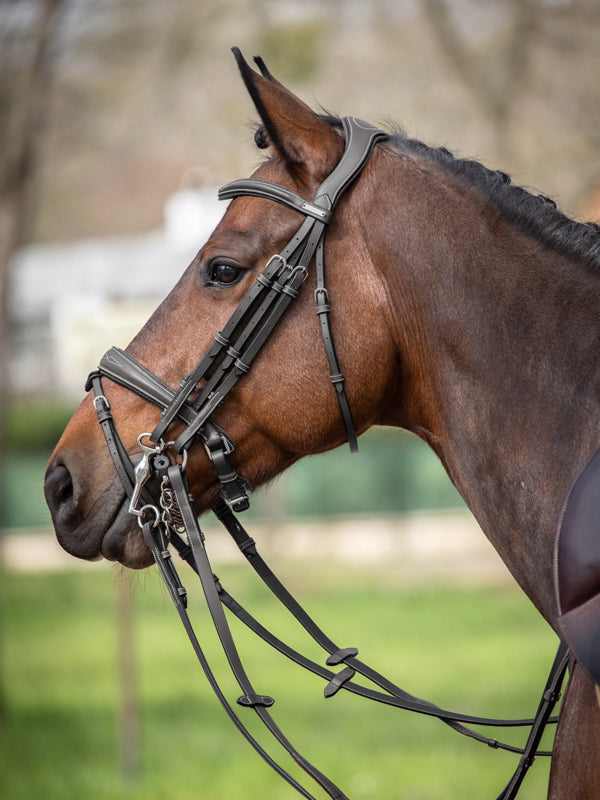 Megève Double Bridle - One Collection