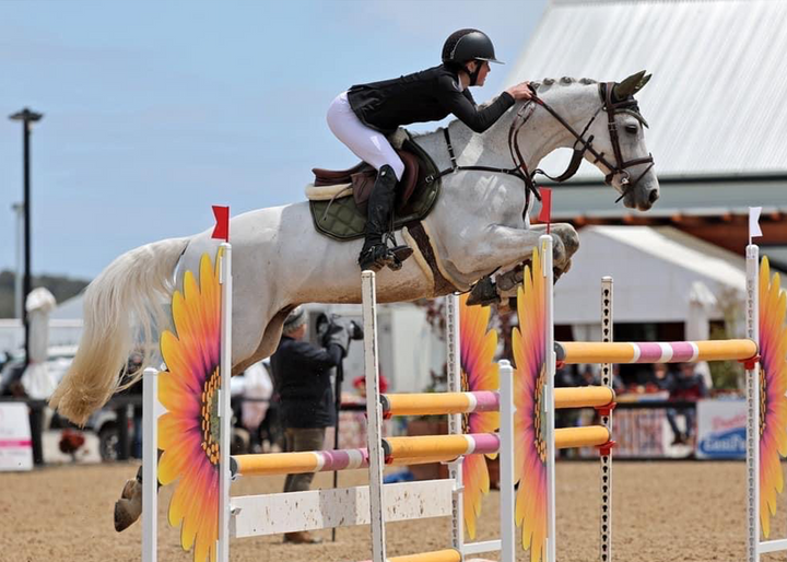 'The Majesty' Deep Olive Jump Saddle Pad - Saddle Pads by Eloquence Equestrian - view 6