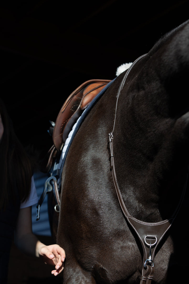 मार्टिंगेल चलाना