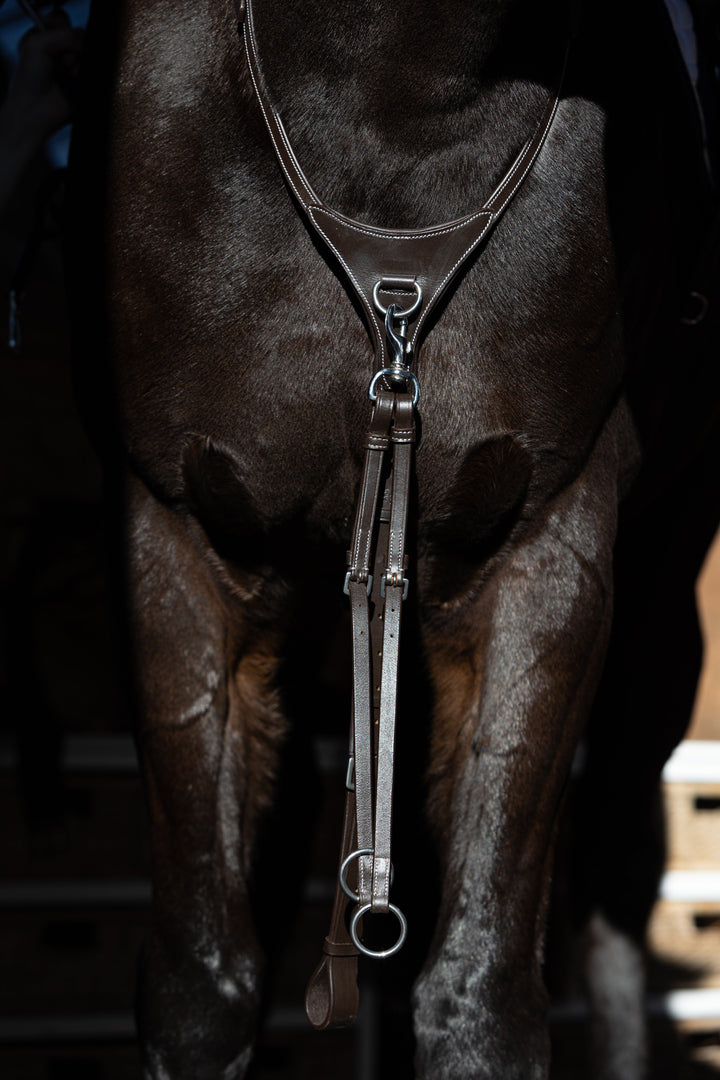 मार्टिंगेल चलाना