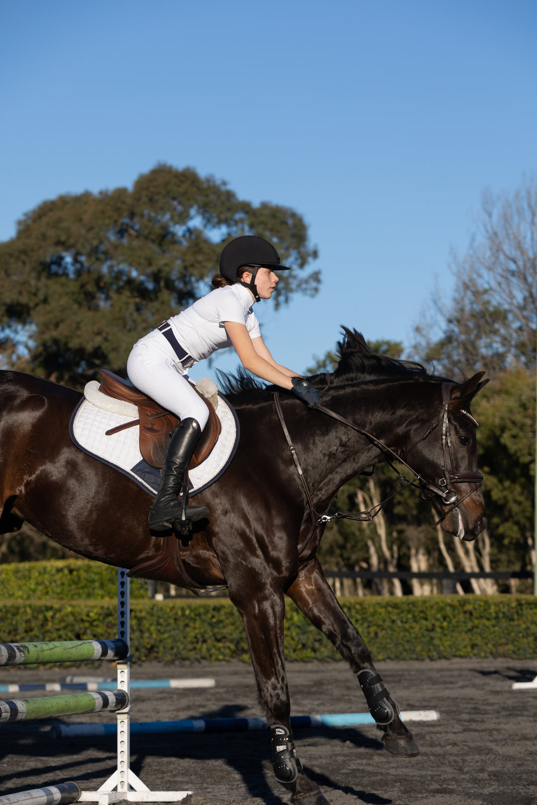 मार्टिंगेल चलाना