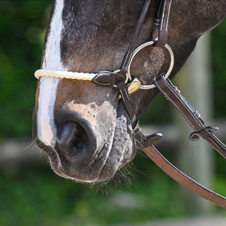 Rope Drop Noseband