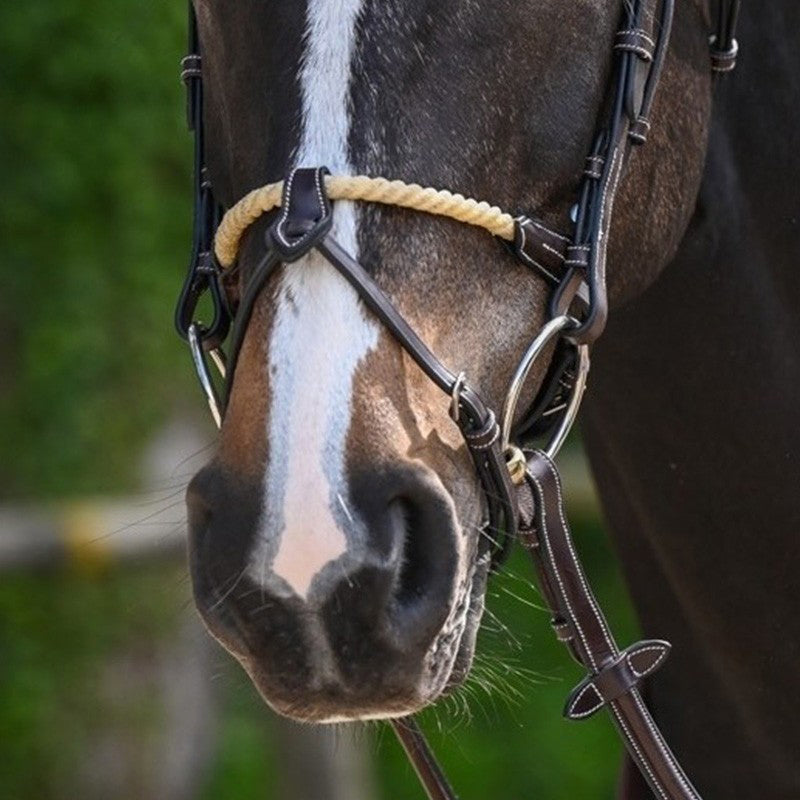 Rope Flash Noseband