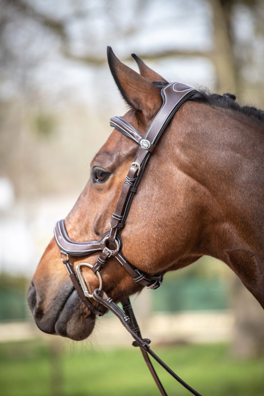 Summer Bridle anatomical noseband - Week Collection