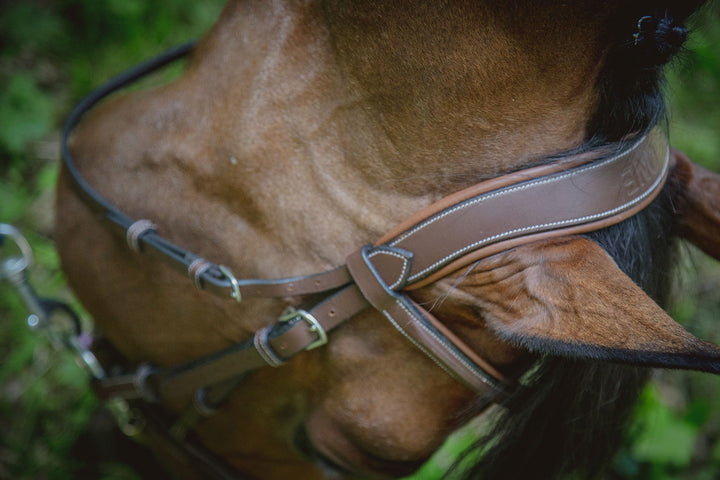 London Bridle - One Collection