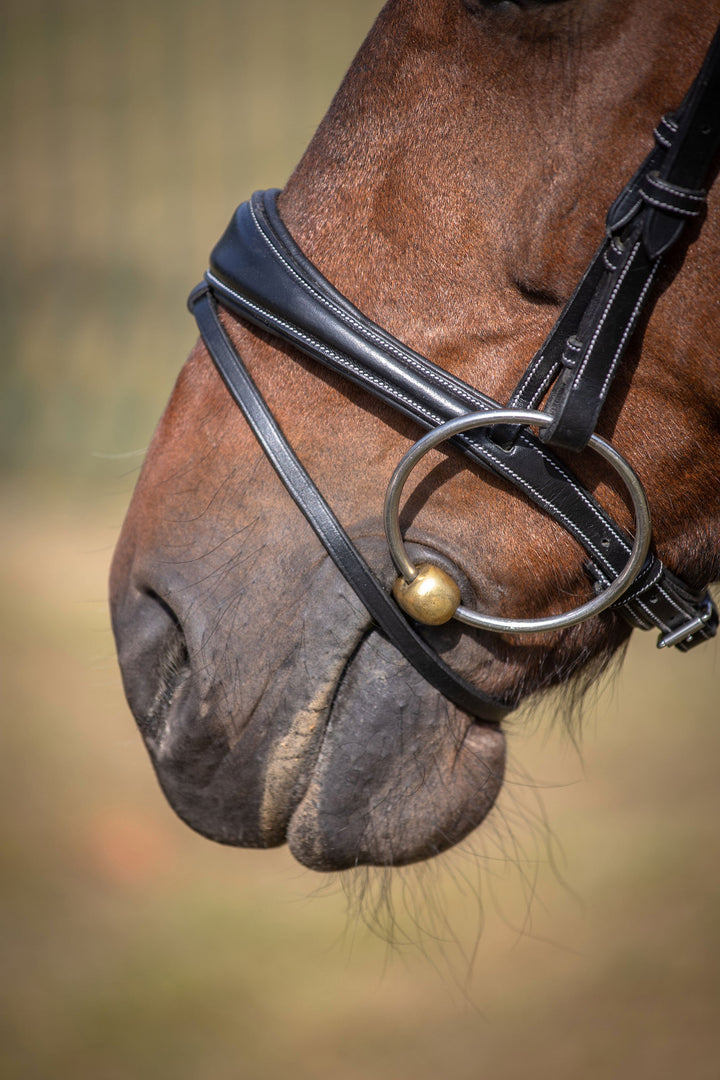 Bruxelles Noseband - One Collection