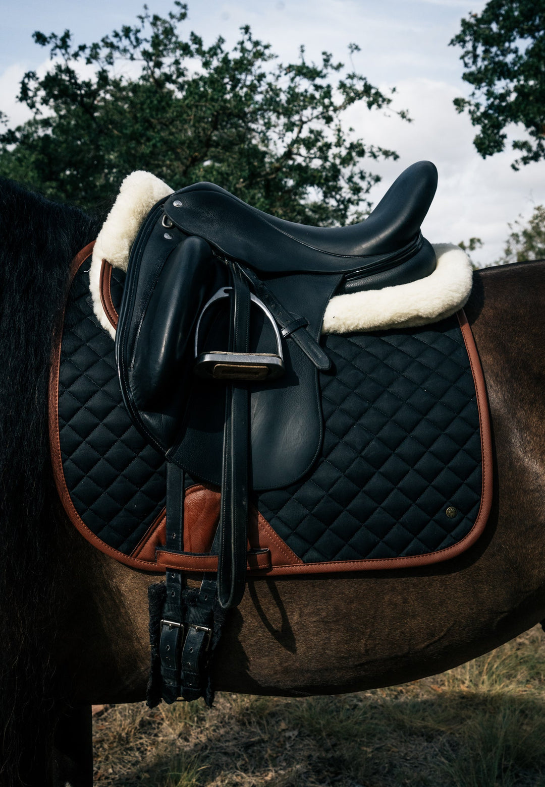 Sixteen Cypress Dressage Pad, Black & Cognac