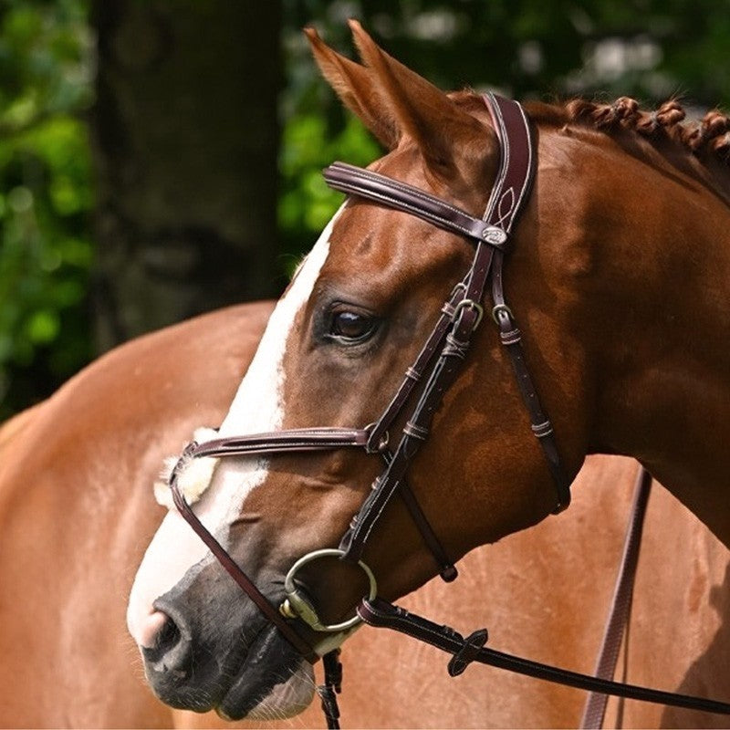 Tuesday Bridle mexican noseband - Week Collection