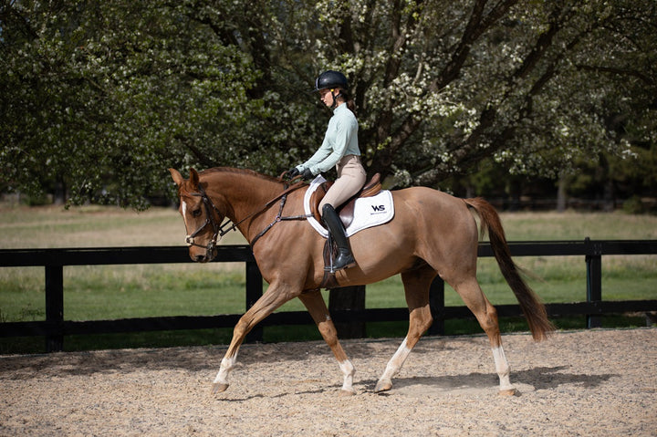 Model riding in Featherlight Training Shirt in Seafoam and Classic Hybrid Breeches in Urban Sand by Wilma Sport